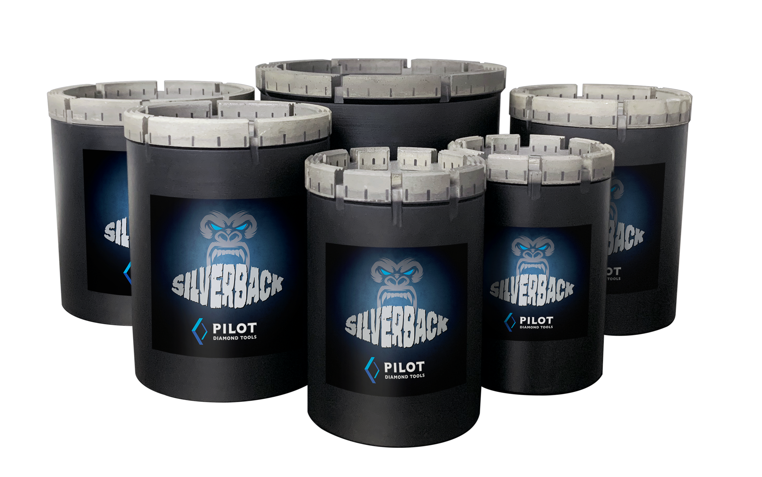 SilverbackGroupCrop SilverbackGroupCrop
